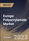 Europe Polyacrylamide Market Size, Share & Industry Trends Analysis Report By Product (Anionic, Cationic, and Non-ionic), By Application (Water Treatment, Oil & Gas, Paper Making), By Country and Growth Forecast, 2023 - 2030 - Product Thumbnail Image