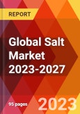 Global Salt Market 2023-2027- Product Image