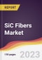 SiC Fibers Market Report: Trends, Forecast and Competitive Analysis to 2030 - Product Thumbnail Image