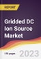 Gridded DC Ion Source Market Report: Trends, Forecast and Competitive Analysis to 2030 - Product Thumbnail Image