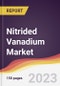 Nitrided Vanadium Market Report: Trends, Forecast and Competitive Analysis to 2030 - Product Image