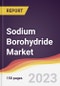 Sodium Borohydride Market Report: Trends, Forecast and Competitive Analysis to 2030 - Product Image