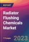 Radiator Flushing Chemicals Market Size, Market Share, Application Analysis, Regional Outlook, Growth Trends, Key Players, Competitive Strategies and Forecasts, 2023 To 2031 - Product Image