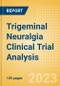 Trigeminal Neuralgia (Tic Douloureux) Clinical Trial Analysis by Phase, Trial Status, End Point, Sponsor Type and Region, 2023 Update - Product Image