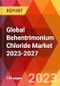 Global Behentrimonium Chloride Market 2023-2027 - Product Image