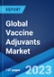 Global Vaccine Adjuvants Market Report by Product Type, Route of Administration, Diseases, Application, and Region 2023-2028 - Product Thumbnail Image