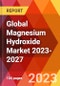 Global Magnesium Hydroxide Market 2023-2027 - Product Image
