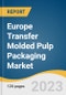 Europe Transfer Molded Pulp Packaging Market Size, Share & Trends Analysis Report by Application (Food Packaging, Food Service, Electronics), Region (Western Europe, Eastern Europe, Scandinavia), and Segment Forecasts, 2024-2030 - Product Image