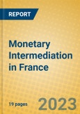 Monetary Intermediation in France- Product Image