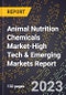 2024 Global Forecast for Animal Nutrition Chemicals Market (2025-2030 Outlook)-High Tech & Emerging Markets Report - Product Image
