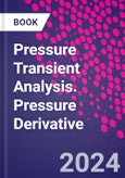 Pressure Transient Analysis. Pressure Derivative- Product Image