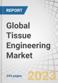 Global Tissue Engineering Market by Product (Scaffolds (Collagen, Stem Cell), Tissue Grafts (Allograft, Autograft, Xenograft)), Material (Biological, Synthetic), Application (Orthopedics, Dermatology, Wound Care, Cardiovascular) - Forecast to 2028- Product Image