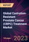 Global Castration-Resistant Prostate Cancer (CRPC) Treatment Market 2024-2028 - Product Image