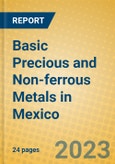 Basic Precious and Non-ferrous Metals in Mexico- Product Image