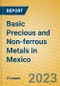 Basic Precious and Non-ferrous Metals in Mexico - Product Image
