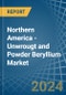 Northern America - Unwrougt and Powder Beryllium - Market Analysis, Forecast, Size, Trends and Insights - Product Image