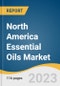 North America Essential Oils Market Size, Share & Trends Analysis Report by Product (Orange, Cornmint, Eucalyptus), Application (Medical, Food & Beverages), Sales Channel, Country, and Segment Forecasts, 2024-2030 - Product Image