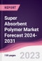 Super Absorbent Polymer Market Forecast 2024-2031 - Product Thumbnail Image