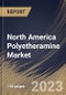North America Polyetheramine Market Size, Share & Industry Trends Analysis Report By Product, By Application (Epoxy Coatings, Polyurea, Composites, Fuel Additives, Adhesives & Sealants, and Others), By Country and Growth Forecast, 2023 - 2030 - Product Thumbnail Image