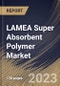 LAMEA Super Absorbent Polymer Market Size, Share & Industry Trends Analysis Report By Type (Sodium Polyacrylate, Polyacrylate/Polyacrylamide, and Others), By Application, By Country and Growth Forecast, 2023 - 2030 - Product Thumbnail Image