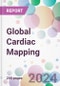 Global Cardiac Mapping Market Analysis & Forecast to 2024-2034 - Product Thumbnail Image