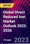 Global Direct Reduced Iron Market Outlook 2023-2036 - Product Image