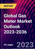 Global Gas Meter Market Outlook 2023-2036- Product Image