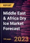 Middle East & Africa Dry Ice Market Forecast to 2028 - Regional Analysis - by Type and Application - Product Image