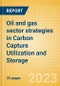 Oil and gas sector strategies in Carbon Capture Utilization and Storage - Product Image