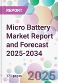 Micro Battery Market Report and Forecast 2025-2034- Product Image