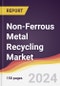 Non-Ferrous Metal Recycling Market Report: Trends, Forecast and Competitive Analysis to 2030 - Product Thumbnail Image