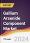 Gallium Arsenide Component Market Report: Trends, Forecast and Competitive Analysis to 2030 - Product Thumbnail Image