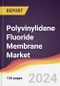 Polyvinylidene Fluoride Membrane Market Report: Trends, Forecast and Competitive Analysis to 2030 - Product Thumbnail Image