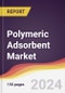 Polymeric Adsorbent Market Report: Trends, Forecast and Competitive Analysis to 2030 - Product Thumbnail Image