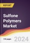 Sulfone Polymers Market Report: Trends, Forecast and Competitive Analysis to 2030 - Product Thumbnail Image