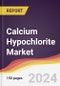 Calcium Hypochlorite Market Report: Trends, Forecast and Competitive Analysis to 2030 - Product Image