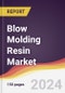 Blow Molding Resin Market Report: Trends, Forecast and Competitive Analysis to 2030 - Product Image