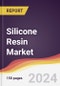 Silicone Resin Market Report: Trends, Forecast and Competitive Analysis to 2030 - Product Image