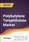 Polybutylene Terephthalate Market Report: Trends, Forecast and Competitive Analysis to 2030 - Product Thumbnail Image