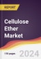 Cellulose Ether Market Report: Trends, Forecast and Competitive Analysis to 2030 - Product Thumbnail Image