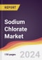 Sodium Chlorate Market Report: Trends, Forecast and Competitive Analysis to 2030 - Product Thumbnail Image