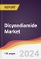 Dicyandiamide Market Report: Trends, Forecast and Competitive Analysis to 2030 - Product Image