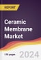 Ceramic Membrane Market Report: Trends, Forecast and Competitive Analysis to 2030 - Product Image