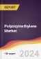 Polyoxymethylene Market Report: Trends, Forecast and Competitive Analysis to 2030 - Product Image