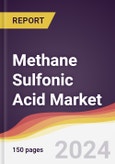 Methane Sulfonic Acid Market Report: Trends, Forecast and Competitive Analysis to 2030- Product Image