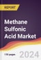 Methane Sulfonic Acid Market Report: Trends, Forecast and Competitive Analysis to 2030 - Product Thumbnail Image