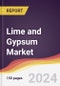Lime and Gypsum Market Report: Trends, Forecast and Competitive Analysis to 2030 - Product Image