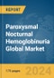 Paroxysmal Nocturnal Hemoglobinuria (PNH) Global Market Report 2024 - Product Thumbnail Image