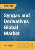 Syngas and Derivatives Global Market Report 2024- Product Image