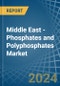 Middle East - Phosphates and Polyphosphates - Market Analysis, Forecast, Size, Trends and Insights - Product Image